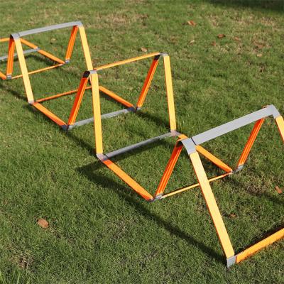 China Wholesale Outdoor Agility Ladder HAOYO Gym Equipment Soccer Training Agility Ladder Training Equipment Set for sale