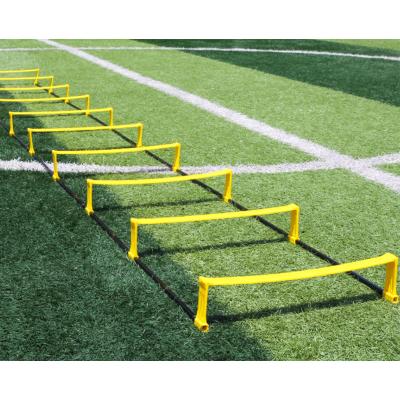 China Outdoor Speed ​​Agility Ladder Sport Speed ​​and Agility Ladder Training Equipment by 12 Yellow Ringed Ladder with Free Carry Bag for Adult for sale