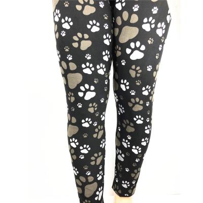 China Extra Plus Size Gray Brown Color Antibacterial Fashion Dog Paw Prints Women Gaiters for sale