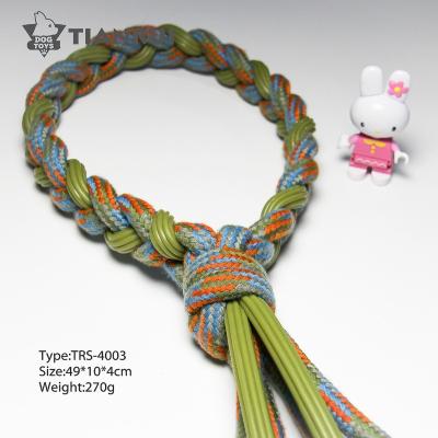 China Sustainable Teeth Clean TPR Cotton Rubber Rope Chewing Hemp Dog Collar for sale