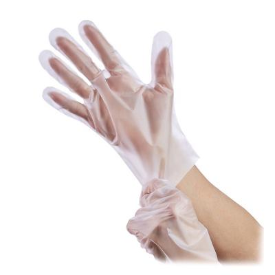 China Household Cleaning Wholesale AS5810 Industrial Certified Disposable Biodegradable Plastic Gloves Cornstarch OK Compost Home Food Service Gloves for sale