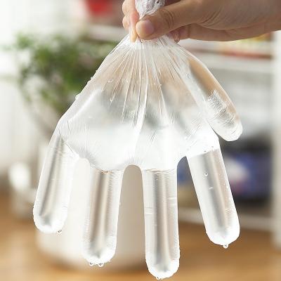 China Clearning Kitchen Certified Wholesale AS5810 Disposable Biodegradable Plastic Gloves Cornstarch OK Compost Home Food Service Gloves for sale