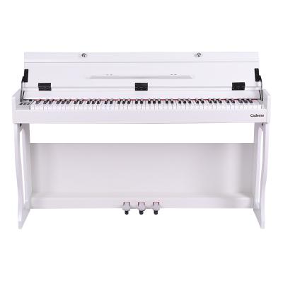 China 88 Key Digital Piano Piano Keyboard Painting Portable Electronic Organ China Digital Piano Keyboard Baking Organ for sale