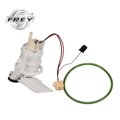 China Auto parts gasoline pump 16117217261 for F01 F02 F03 F04 N52 N55 N62 standard size for sale