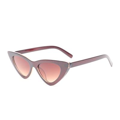 China 2022 new fashion sunglasses fashion classic clear plastic lens AC lens clear eye Cat Sun Glasses Sunglasses for sale