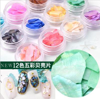 China Natural Shell Slice JIAXI 12designs/box Shell Slice Irregular Mixed Shell for DIY Nail Art Decoration for sale