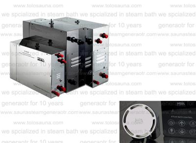 China Digital and optional Residential Steam Generator stainless steel 12kw 380V for home for sale