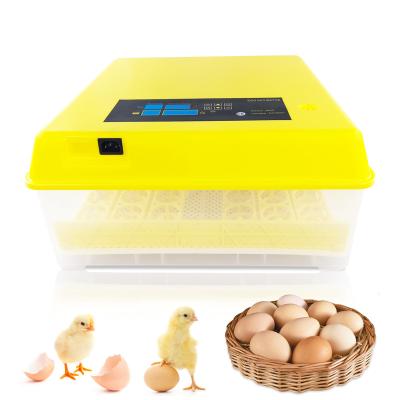 China food & Beverage Plant Pigeon Egg Hatching Maggot Chicken Egg Incubators Hot Level Incubator for sale