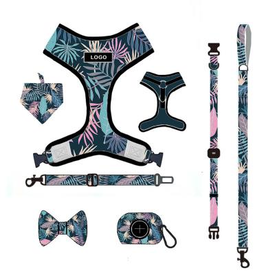 China 2021 New Style Luxury Custom Padded Dog Collar Pet Chest Harness Set Leads Leashes for sale