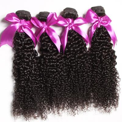 China Wholesale Kinky Curly Raw Indian Virgin Hair Curly Cuticle Aligned Temple Raw Indian Hair Curly Virgin Hair for sale