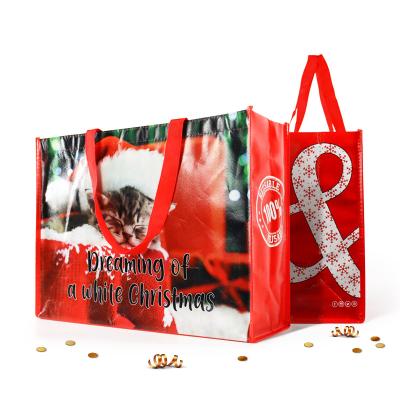 China Hot Sale Christmas Shopping Bag Handled Non Woven Non Woven Shopping Bag Christmas Bag for sale