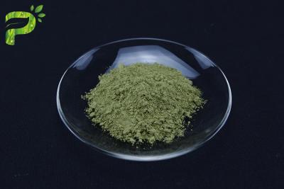 China Matcha Green Tea Powder From Camellia Sinensis Leaves for sale