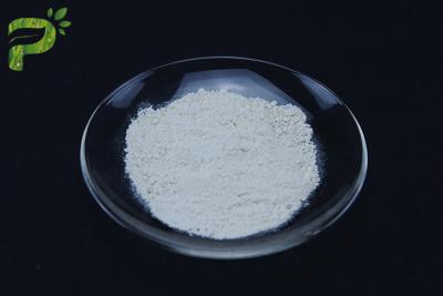 China Cytidine Diphosphate-Choline CDP-Choline Citicoline Boost Brain Health CAS No. 987-78-0 for sale