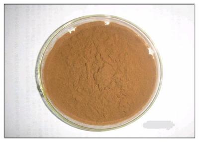 China Apple Tree Root Plant Extract Powder , Herbal Dietary Supplement Solvable In Ethanol for sale