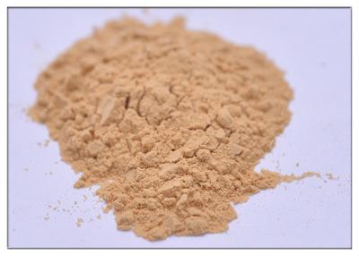 China Anti Bacterial 5% Chlorogenic Acid Extract Honeysuckle Flower Powder For Detumescene for sale