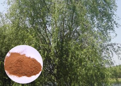 China Salicin 98% Antifungal Plant Extracts White Willow Bark Extract Relieving Headache for sale