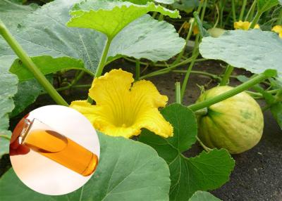 China Food Grade Organic Plant Oils Linolieic Acid From Pumpkin Seed Protecting Prostate for sale