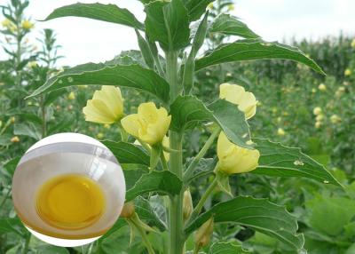 China PMS Organic Plant Oils Dietary Supplement Evening Primrose Oil for Capsules for sale