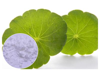 China Cosmetic Herbal Plant Extract Centella Asiatica Powder With Madecassoside 90% CAS 34540 22 2 for sale