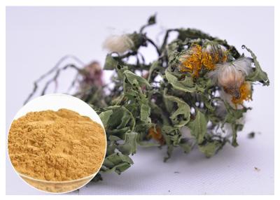 China Lower Blood Pressure Herbal Plant Extract Flavones Dandelion Root Extract Powder for sale