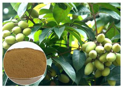 China Oleuropein Natural Olive Leaf Extract Natural Ingredient With HPLC Test for sale