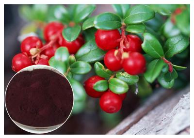 China Dark Red Powder Antifungal Plant Extracts PACs From Cranberry Anti Radiation for sale