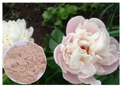 China Peony Root Powder Natural Anti Inflammatory Supplements Water Solvent CAS 23180 57 6 for sale