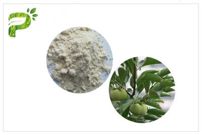 China Natural Plant Ursolic Acid Extract , CAS 77 52 1 Persimmon Leaf Powder High Purity for sale