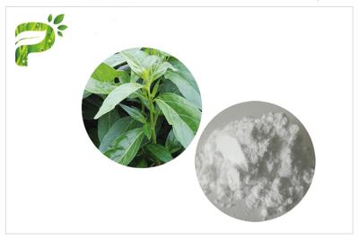 China Andrographis Paniculata Herbal Plant Extract Andrographolide Anti Cancer CAS 5508 58 7 for sale