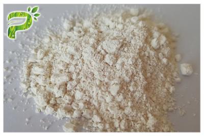 China Cycloastragenol 98 Natuurlijke Dieetsupplementen Ta-65 Cycloastragenol-Astragalus het Uittreksel van Membranaceus Te koop