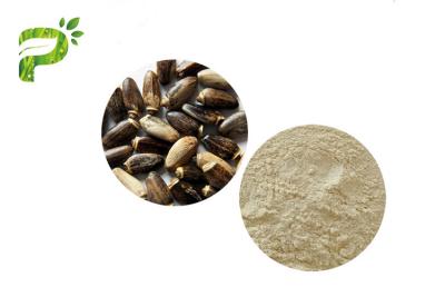 China Silymarin / Silybin Plant Extract Powder CAS 22888 70 6 Milk Thistle Preventing Liver Disorder for sale