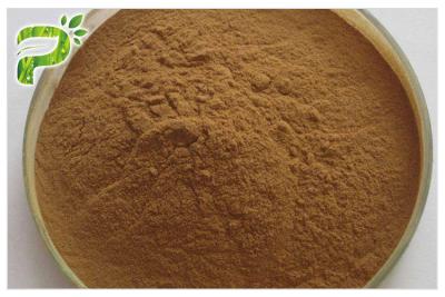 China Brown Yellow Fine Powder Ginseng Root Extract 20(R)-Ginsenoside Rh2/Rg3 Anti Cancer for sale