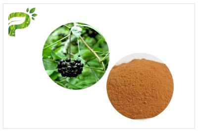 China Siberian Ginseng Powdered Herbal Extracts Acanthopanax Senticosus Eleutheroside B/E for sale