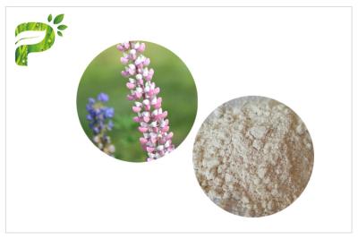 China Lupeol Plant Extract Powder Anti Inflammatory High Purity 98% CAS 545 47 1 for sale