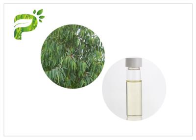 China Eucalyptus Globulus natural plant oils 8000 48 4 Colorless to light yellow liquid for sale