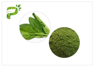 China 8.0% Ash Green Health Powder Spinach Leaf Extract Powder 20kg/ Box for sale