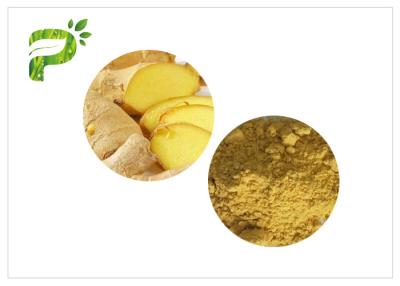 China 1.0ppm Cadmium Natural Herb Root Powder 100 Mesh Ginger Powder Tea for sale