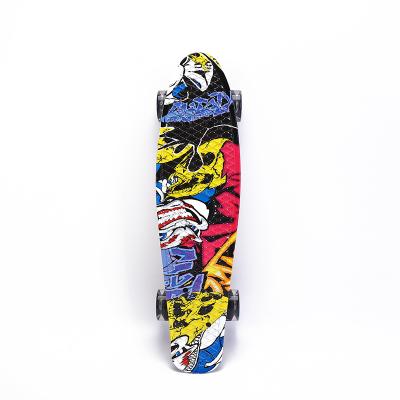 China Mini Fish Cruiser Plastic Skateboard Caliber Youth Skateboard Supplier Colorful Printed Fish Slide Plate for sale