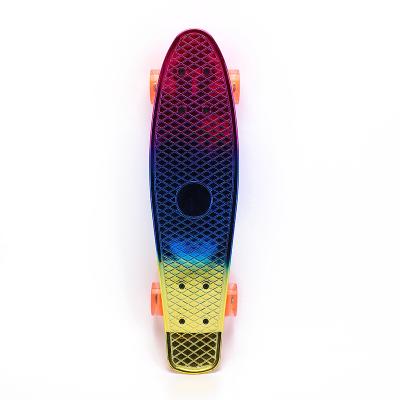 China Plastic Skateboard Supplier Youth Mini Fish Rainbow Cruiser Fish Printed Skateboard for sale