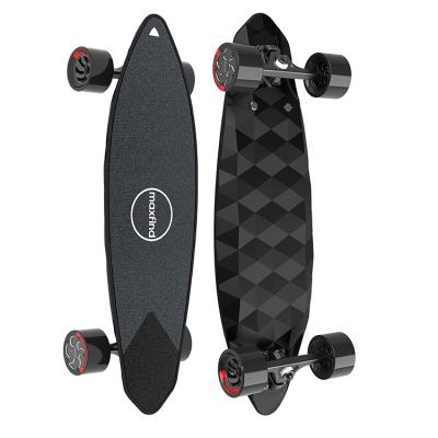 China Adult High Speed ​​Waterproof Electric Skateboard 45-50km/h Longboards With Cloud Wheels for sale