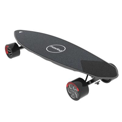 China Pro Motor 2 Max Drive Adult Battery Off Road Electric Skateboard for sale