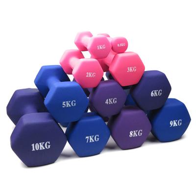 China hot sale rubber covered dumbbell gym dumbbells design small and beautiful fitness dumbbells for sale