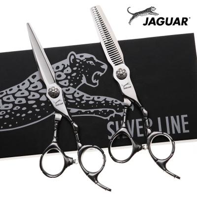 China Cutting Scissors 6 Inch Professional Hairdressing Scissors Set Cutting+Thinning Hair Scissors Barber Shears High Quality Personality for sale