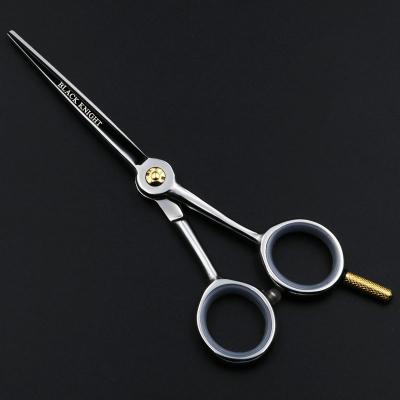 China Cutting Scissors 5.5/6 Inch Professional Hair Scissors Hairdressing Scissors Cutting Shears Barber High Quality Personality for sale