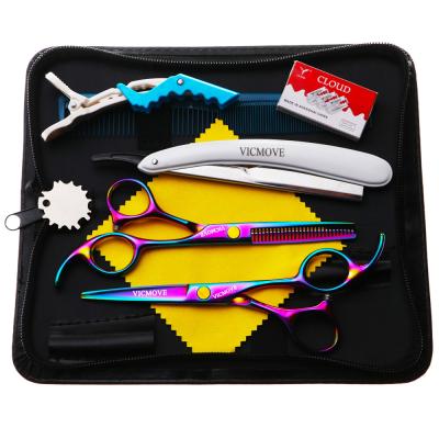 China Cutting Scissors 5.5 Inch Thinning Hair Cutting Scissors Professional Hairdressing Scissors Barber Scissors Set Cutting Shears for sale