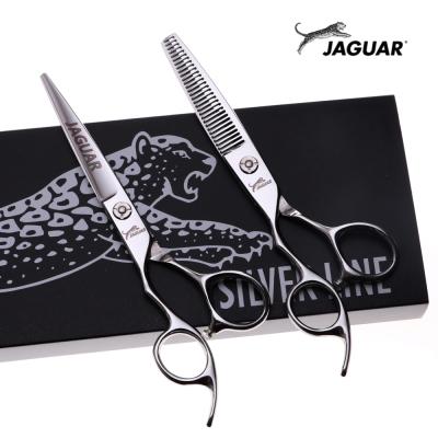 China Cutting Scissors 6 Inch New Fashion Design Beauty Barber Scissors Left Handed Flat Scissors Silver Teeth Scissors for sale