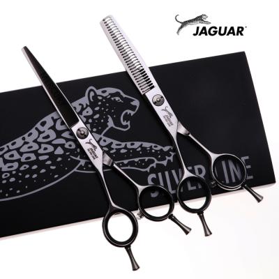 China Cutting Scissors 6 Inch New Fashion Design Beauty Barber Scissors Left Handed Cutting Silver Scissors Thinning Scissors for sale