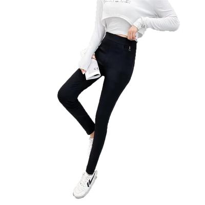 China Anti-pilling Pants Plus Size Stretch Cotton Women's Pants Women's Pants And Trousers for sale