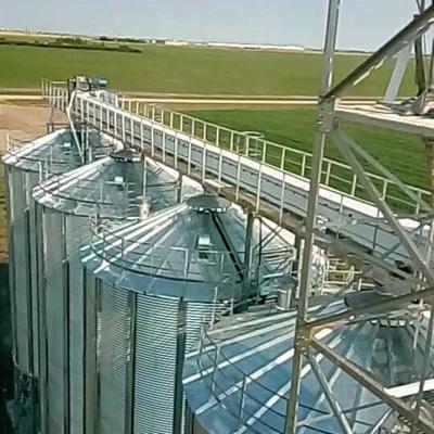 China Heat Resistant Drag Chain Conveyor Used In Storage Silos Drag Conveyor System For Grain Silos for sale