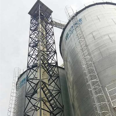 China Heat Resistant Reliable Huge Capacity Grain Bucket Elevator Manufacturer for sale